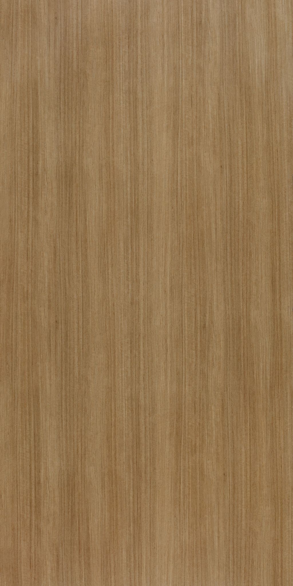 Merino Teak Exotica