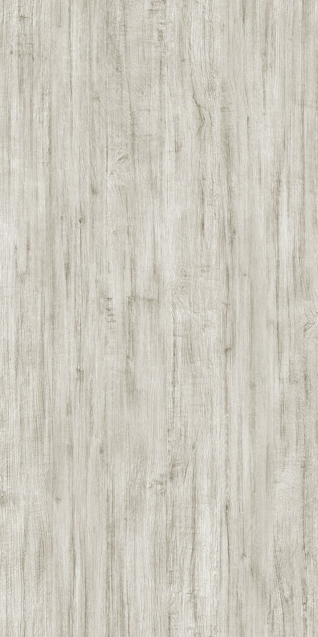 Merino Strobus Pine