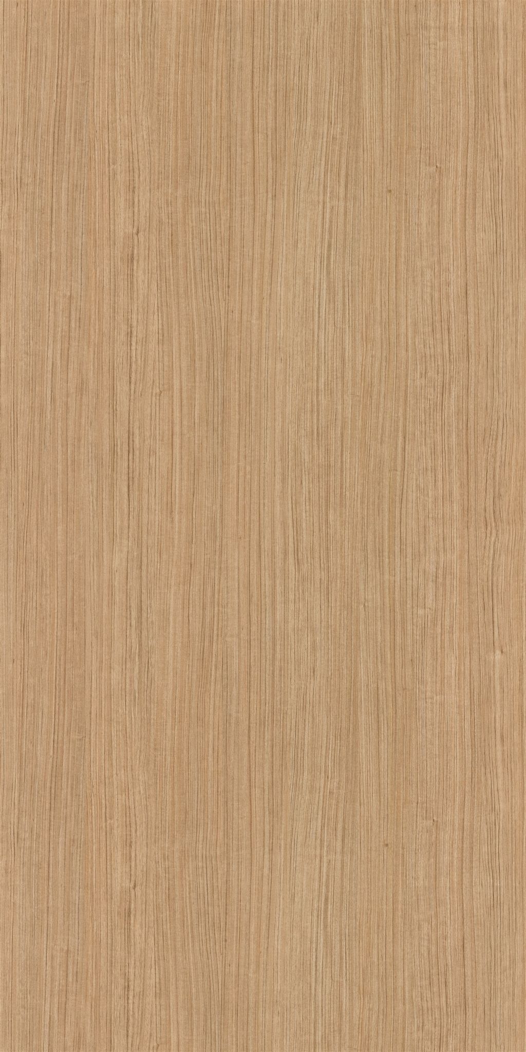 Merino Shire Mono Teak