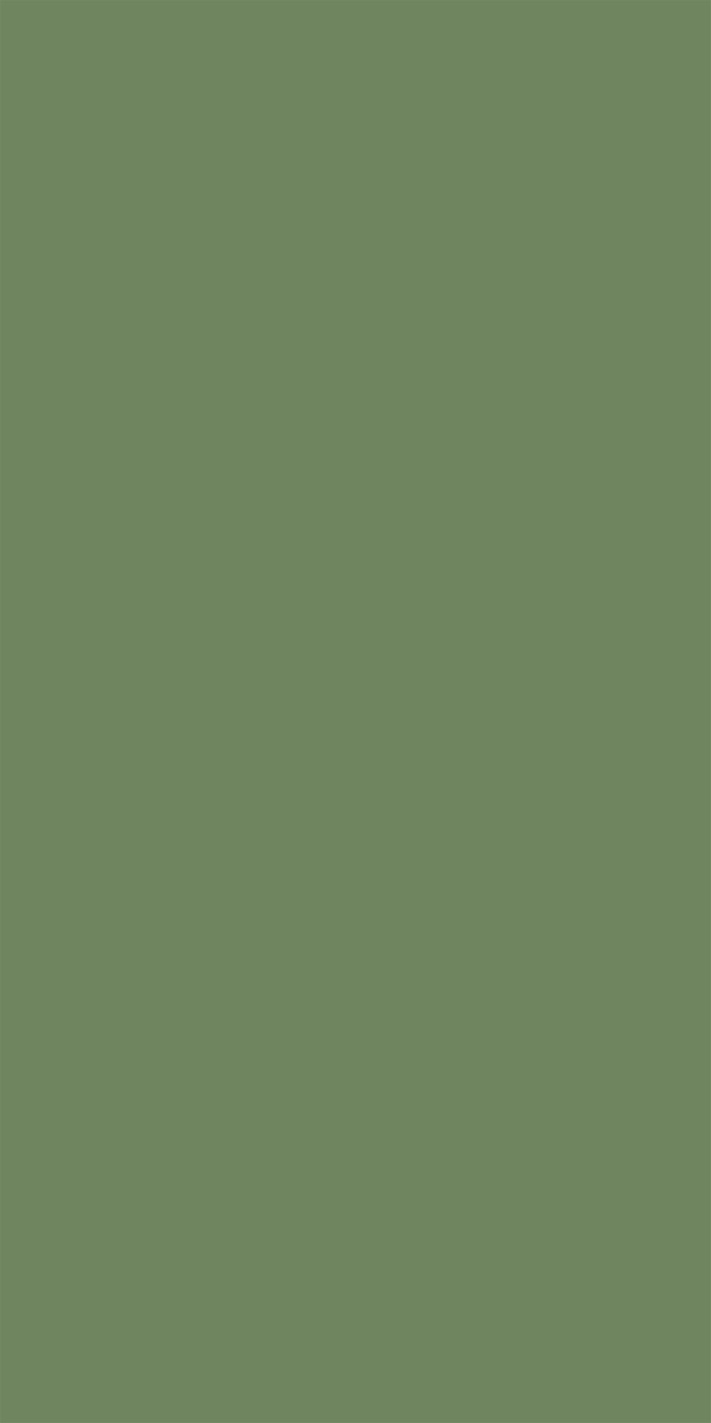 Merino Prairie Green, 21003 HGL