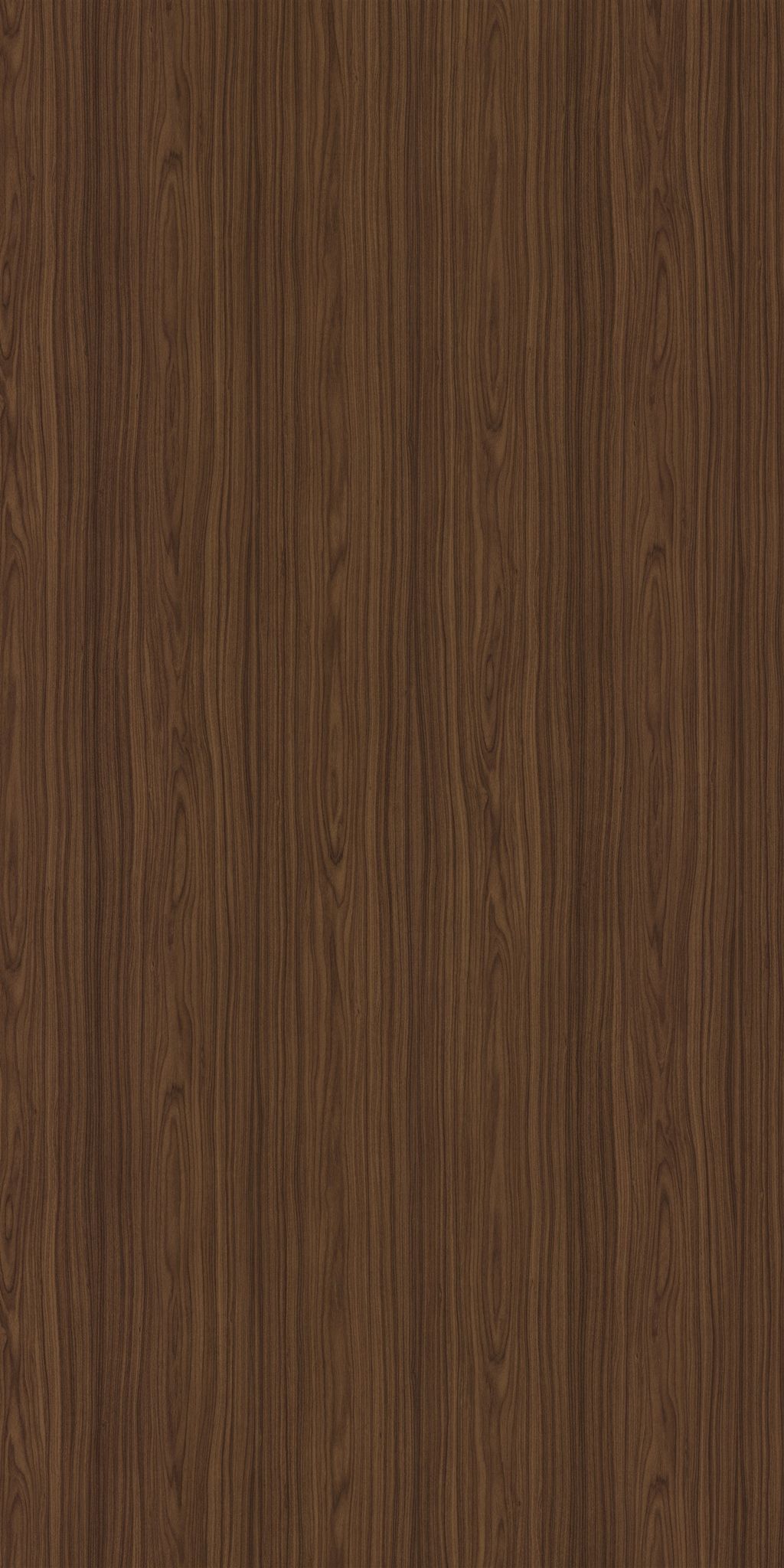 Merino Canadian Walnut, 10544 WV