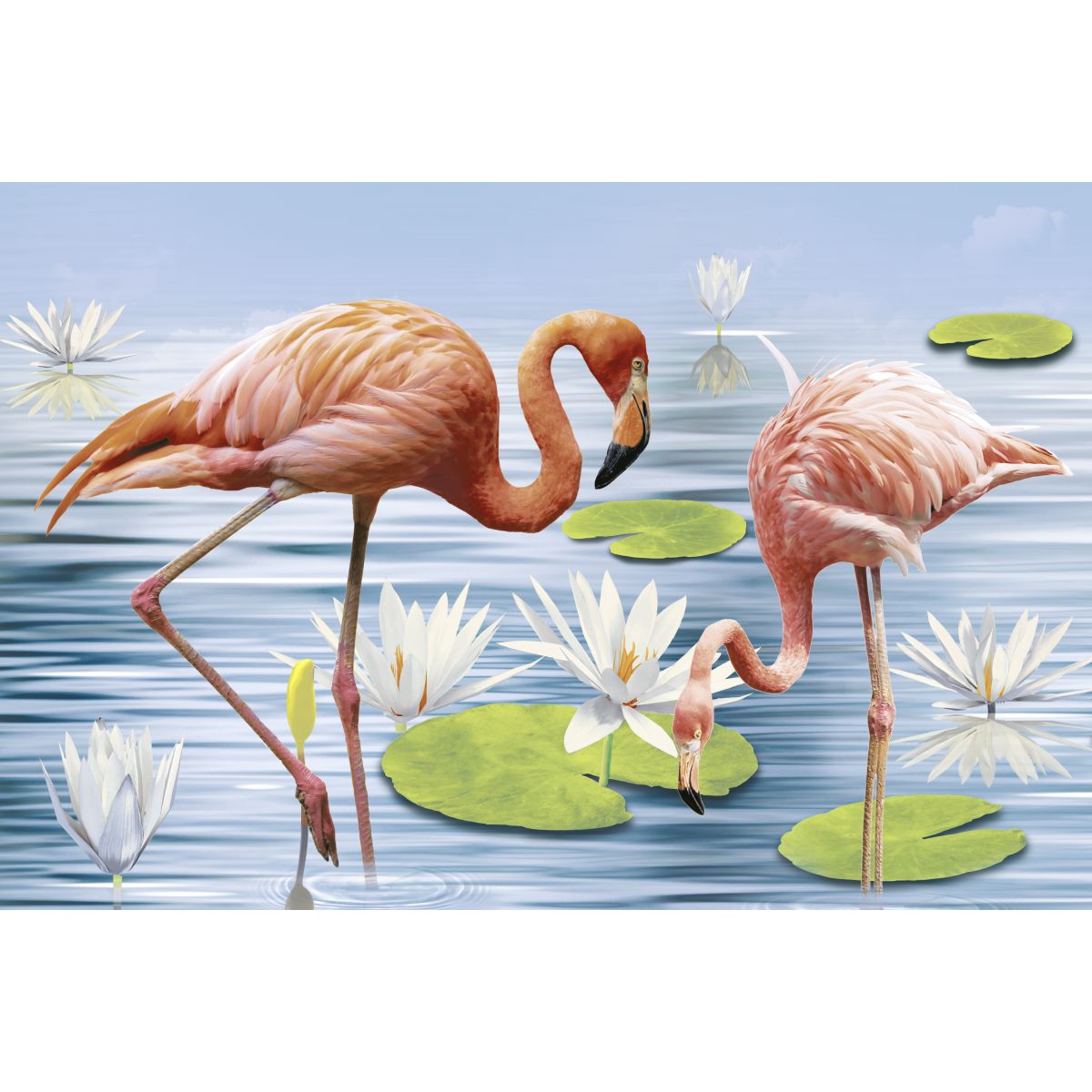 Somany  FLAMINGO HL01