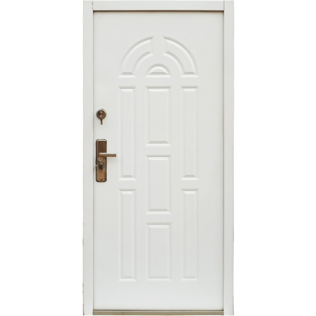 Prime Gold Steel Door (PGS-10)